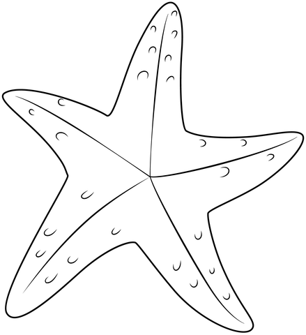 Rozgwiazda kolorowanki